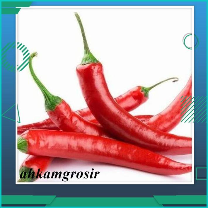 BENIH BIBIT TANAMAN CABAI BESAR PANEX 100 F1 CABE PANAH MERAH ISI 50 BEST BRAND