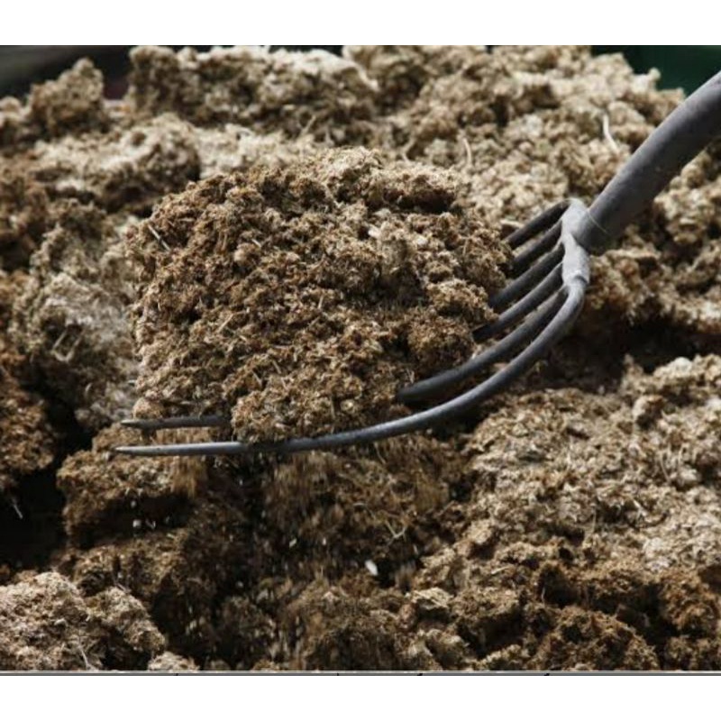 pupuk organik kotoran sapi kering