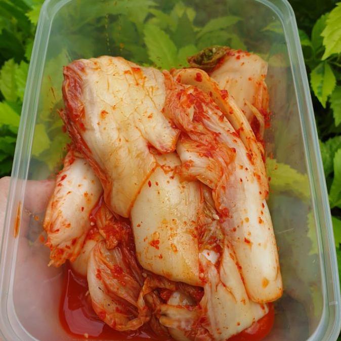 

Kimchi Homemade 500Gr Jan Enak Segar Baru