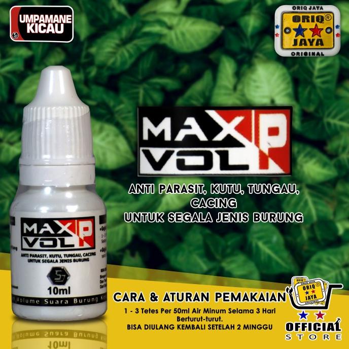 Maxvol P Umpamane Kicau Oriq Jaya