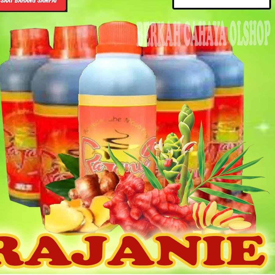 

Terbaru | HJ6 | RAJANIE Jahe Merah
