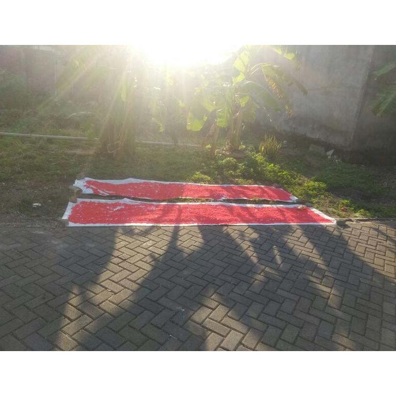 

( COD ) holi powder 1kg / holly powder / color run / tepung warna