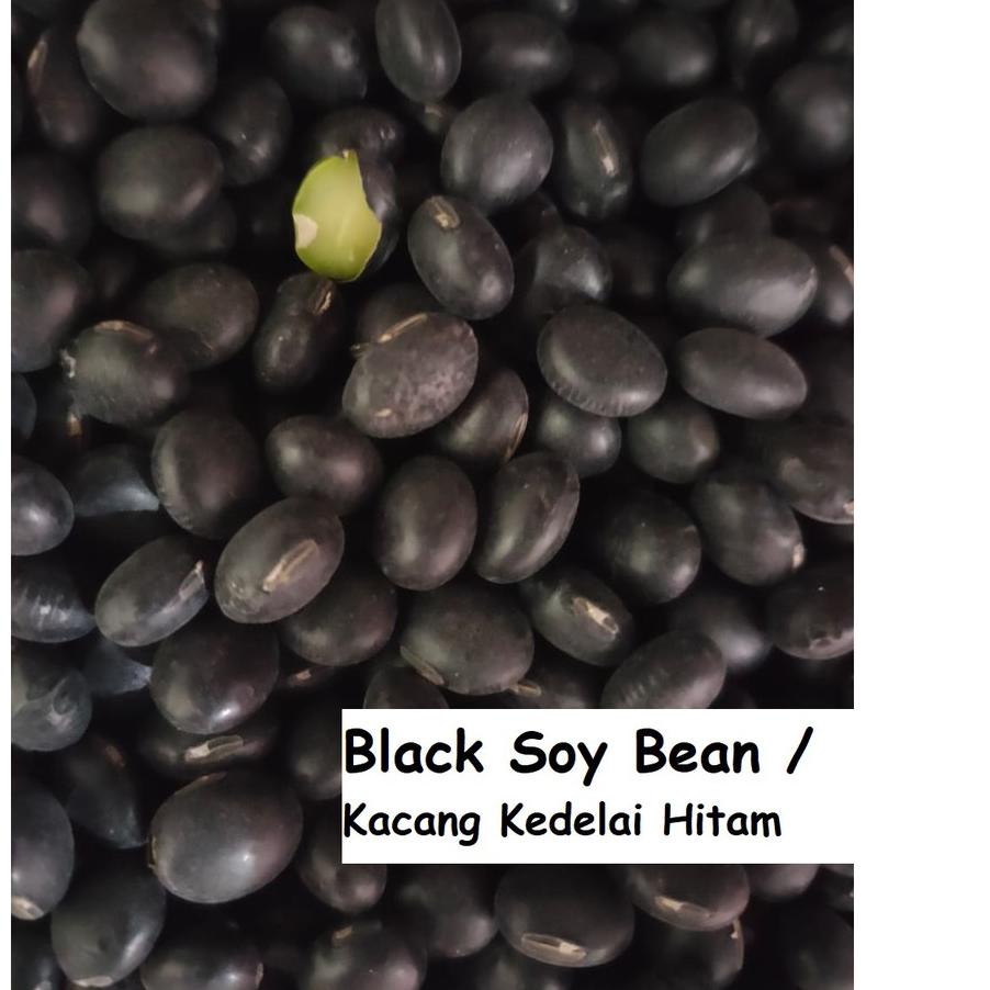 

Sale | HJ6 | 1000gr Kacang Kedelai Hitam - Small Black Bean
