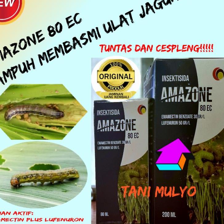 Pasti Favorit AMAZONE 80 EC 100 ML