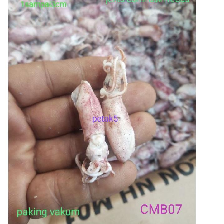 

COD Cumi asin beby 1kg/ cumi asin baby/cumi asin rebus/cumi asin kecil murah