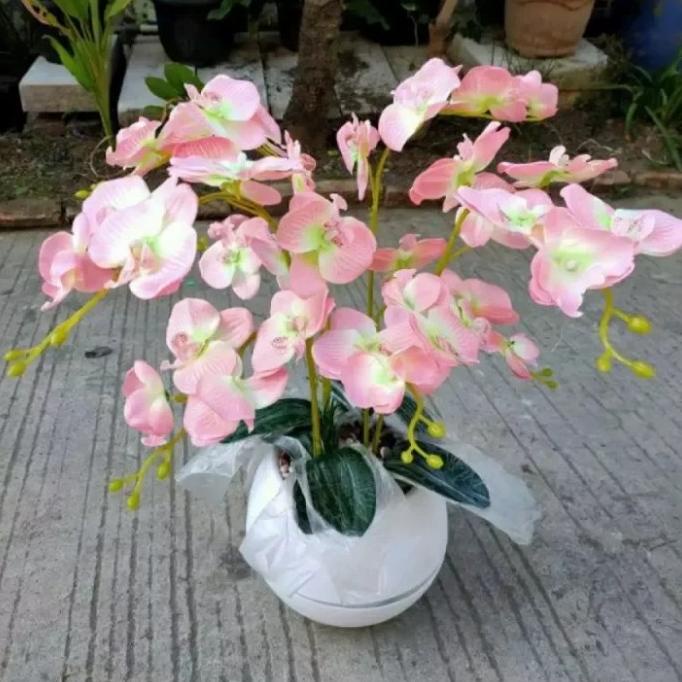 BUNG ANGGREK BULAN BUNGA HIAS ARTIFICIAL PLASTIK+ POT BOLA VIENTA