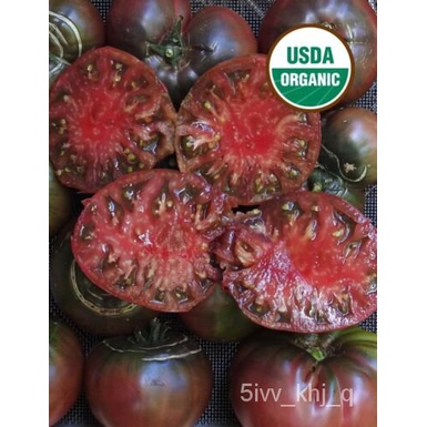 

Non-transgene เ์ัดOrganikุTomat็พ25ลมKerim +ธSertifikasi BenihนHitam YOSU