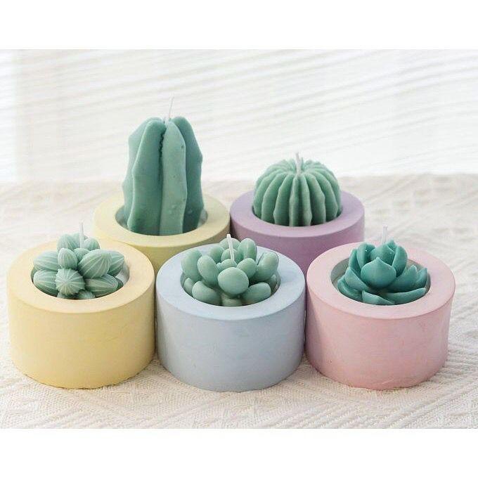 Terlaris Pot Semen Mini Bulat Putih + Sukulen Kaktus Mini / Pot Dan Edelweis