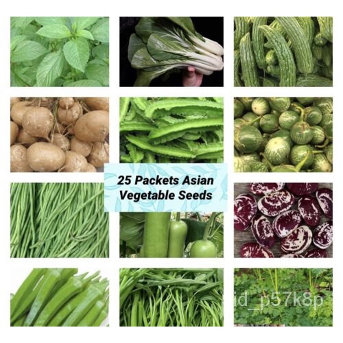 

ุYang-์Kebun Andaนธ-Piece Set 25ัBenih SayuranมAsia SayuranพดCocokเลSet Starter็Kualitas Tinggi PXMM