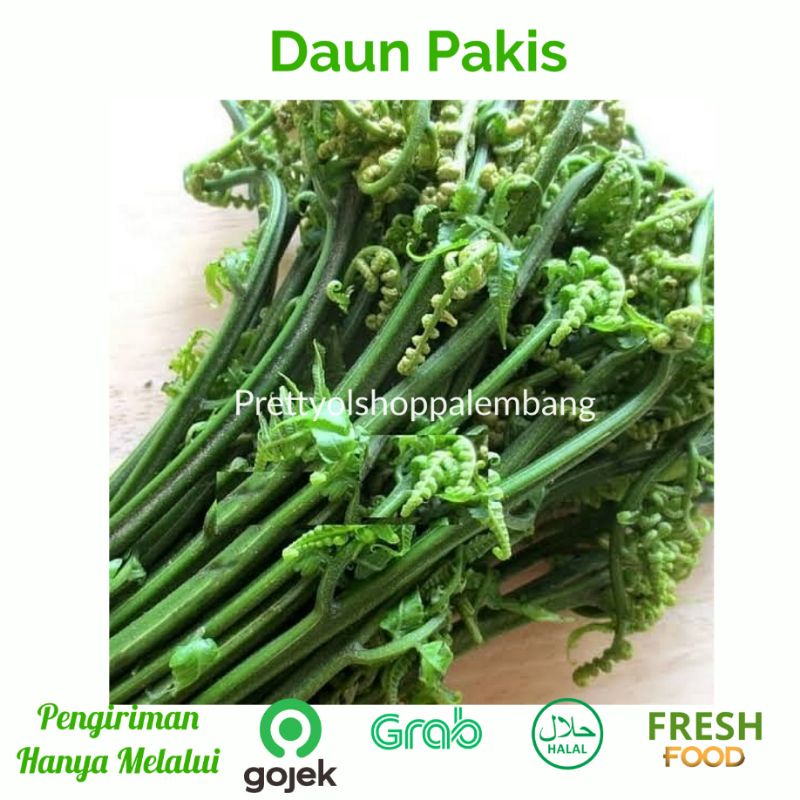 

[PALEMBANG] DAUN PAKIS 1 IKAT - SAYUR BUAH IKAN SEGAR ONLINE PRETTY OLSHOP PALEMBANG