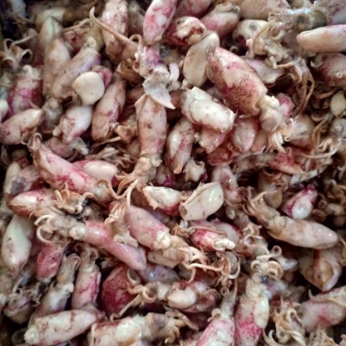 

Maker Ikan Asin Baby Cumi Bk Per 500Gram