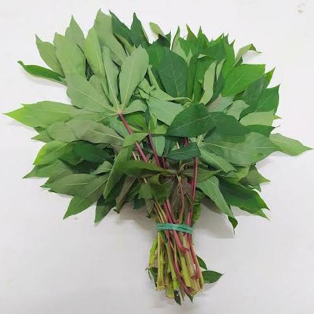 

Daun Singkong 1 Ikat