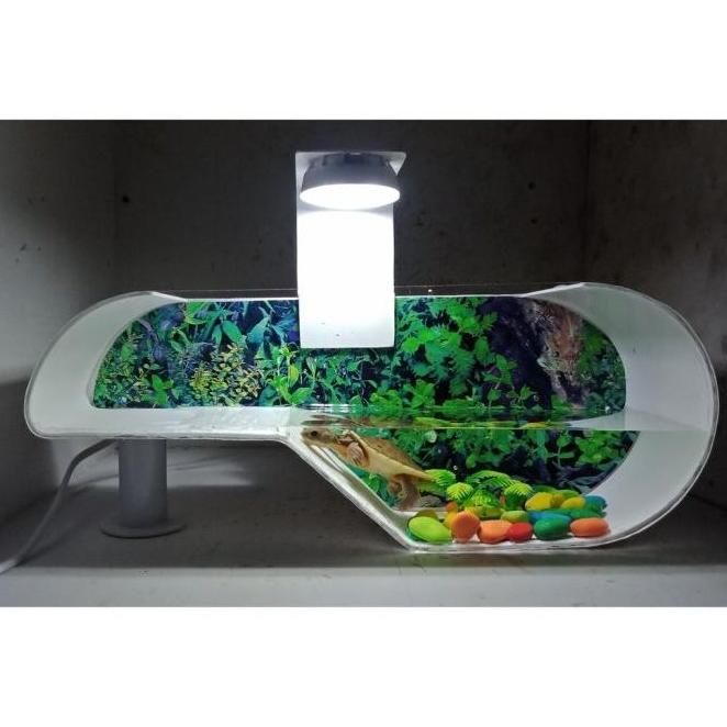 Termurah Cupang Aquarium Kura-Kura Aquarium Aquarium Mini Pvc Akrilik