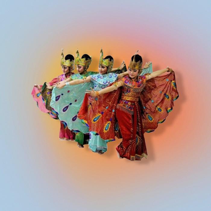 Terlaris Kostum Tari Merak