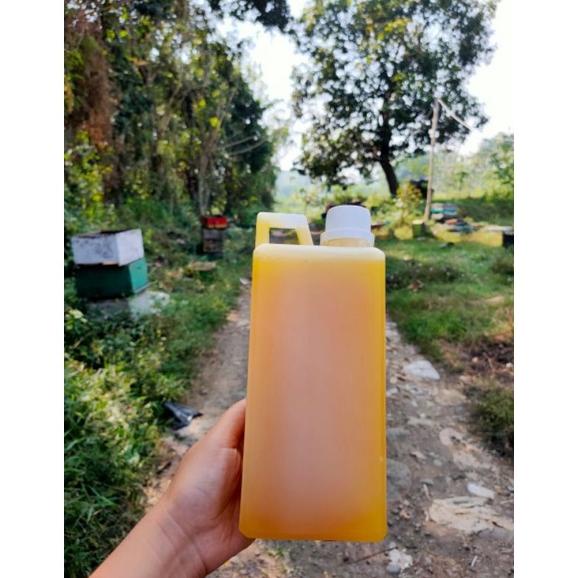 

Madu Murni Kemasan 1 Liter Best Seller