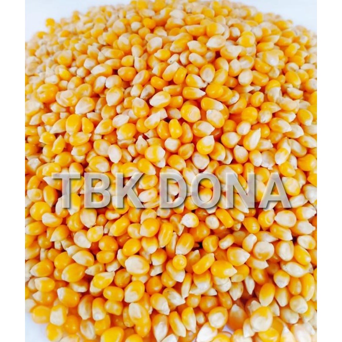 Jagung PopCorn 22.5 kg 1 Karung