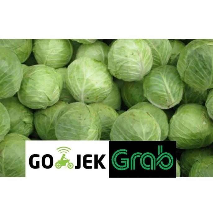

Kol Sayuran 1kg buo