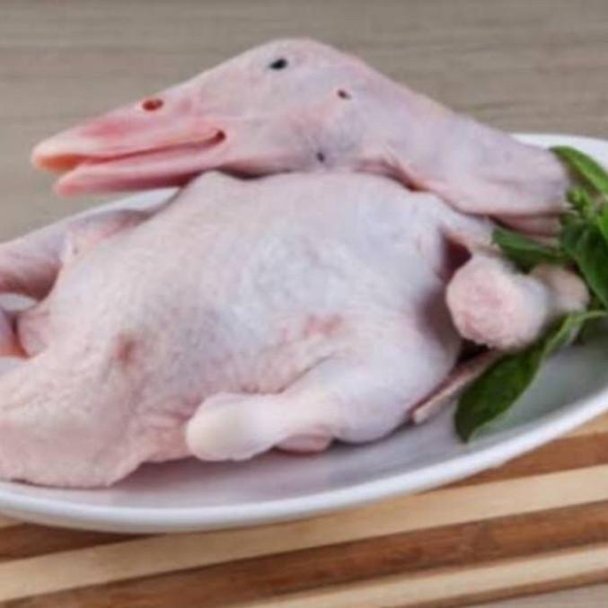 Terlaris Bebek Potong Segar/Bebek Potong Size Besar Potong Utuh