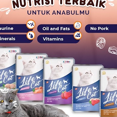 

Life Cat Kitten Sachet 1 Dus Isi 24 Sachet Life Cat Pouch Makanan Basa