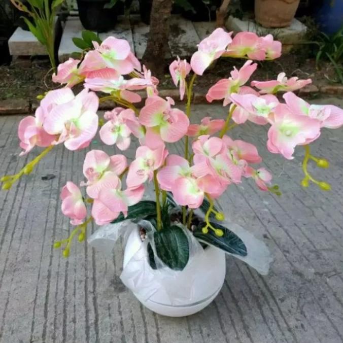 BUNG ANGGREK BULAN BUNGA HIAS ARTIFICIAL PLASTIK+ POT BOLA VIENTA