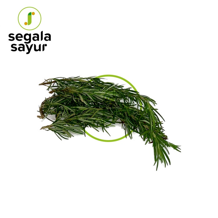 

Daun Rosemary 20 gr