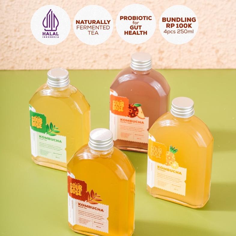 

[BUNDLING, LEBIH HEMAT] Kombucha 250ml - 4 Bottle | by Sourdose Best Seller