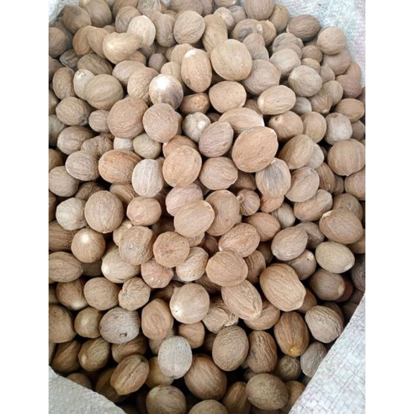 

[Miliki Segera] Biji pala bulat super kupas 1kg 7VK