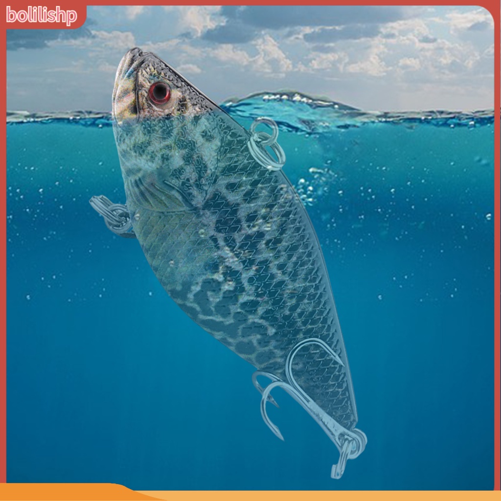 [Bolilishp] 6.6cm/11.5g Umpan Pancing 3D Simulasi Fisheye Bentuk Realistis Kait Angling Bass Laut Memancing Umpan Buatan Keras Untuk Memancing Di Luar Ruangan