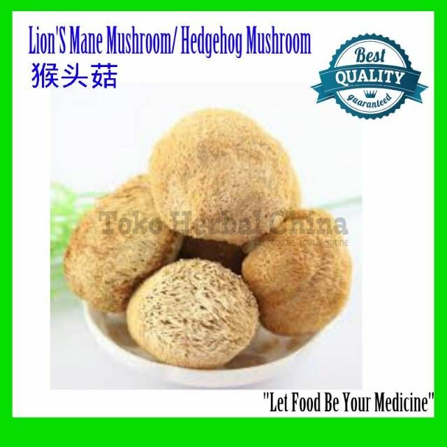 Jamur HouTouGu Monkey Head Mushroom Hericium