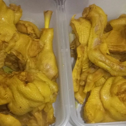 

Bebek ungkep 5 ekor