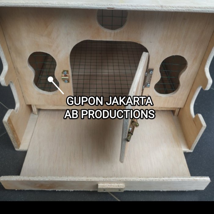 gupon merpati murah polos