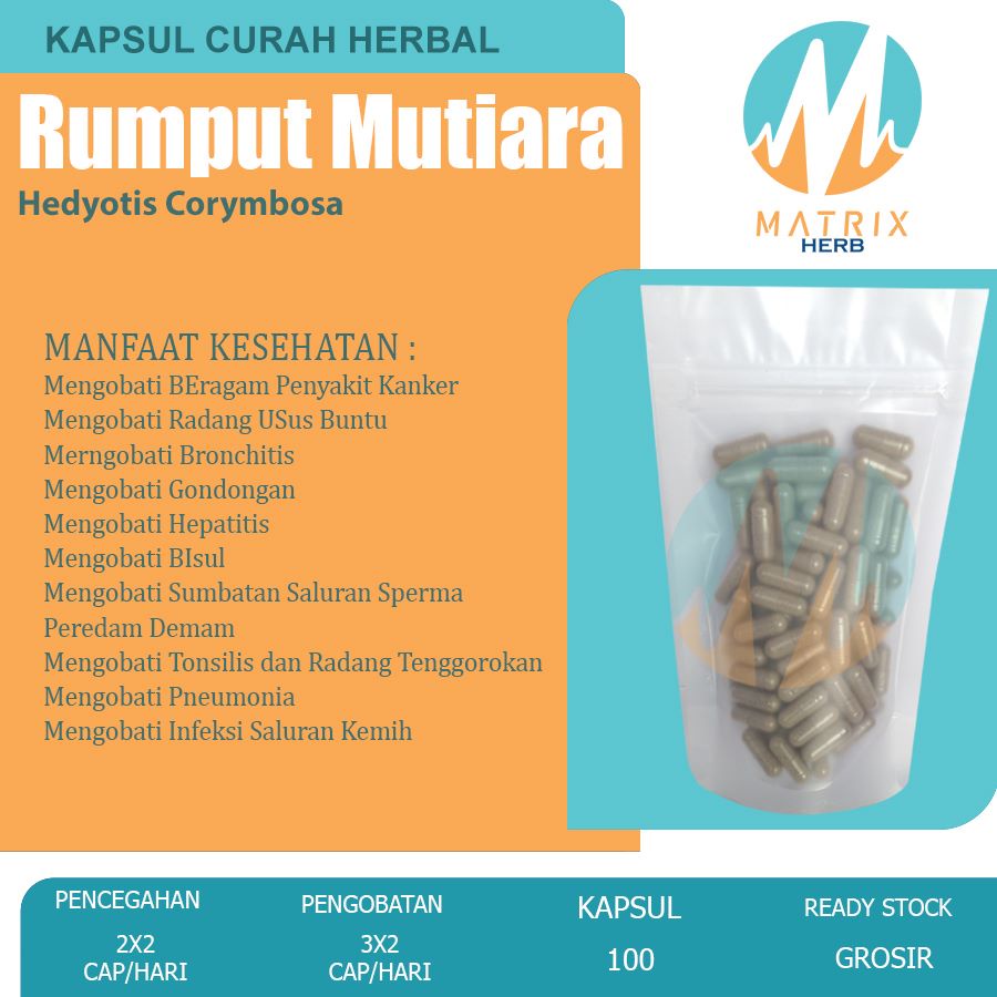 RUMPUT MUTIARA 100 Kapsul Curah Herbal Sumbatan Saluran Sperma Kanker