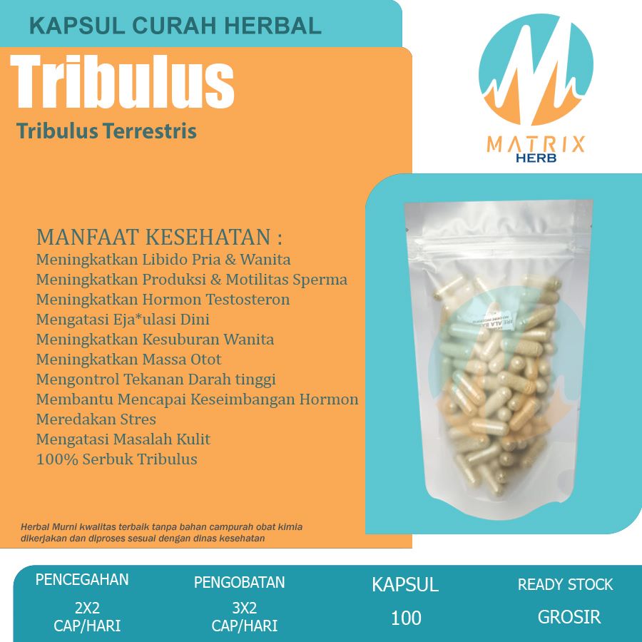 TRIBULUS TERRESTRIS 100 Kapsul Herbal Testosteron Libido Booster EDI