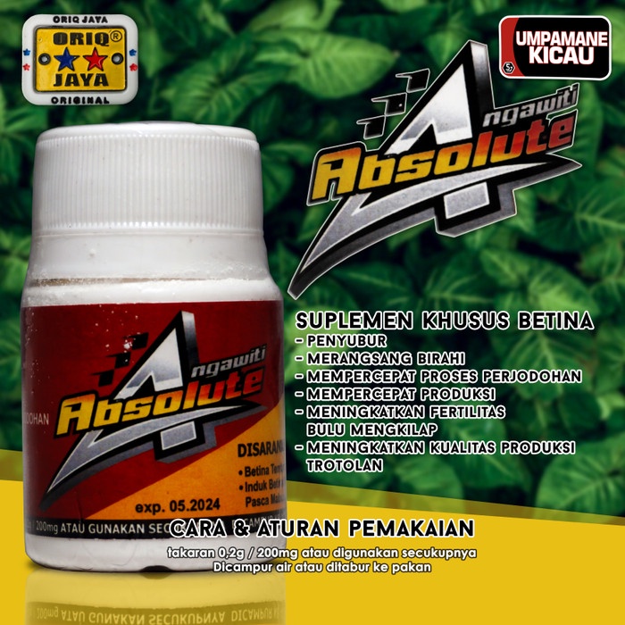 Terlaris Absolute Ngawiti Umpamane Kicau Oriq Jaya