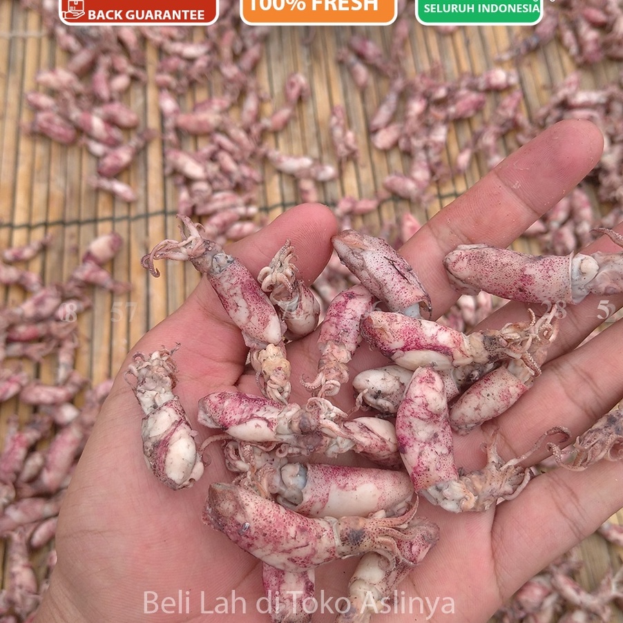 

[KODE 77] Baby Cumi Rebus Asin - Ikan Asin 1Kg