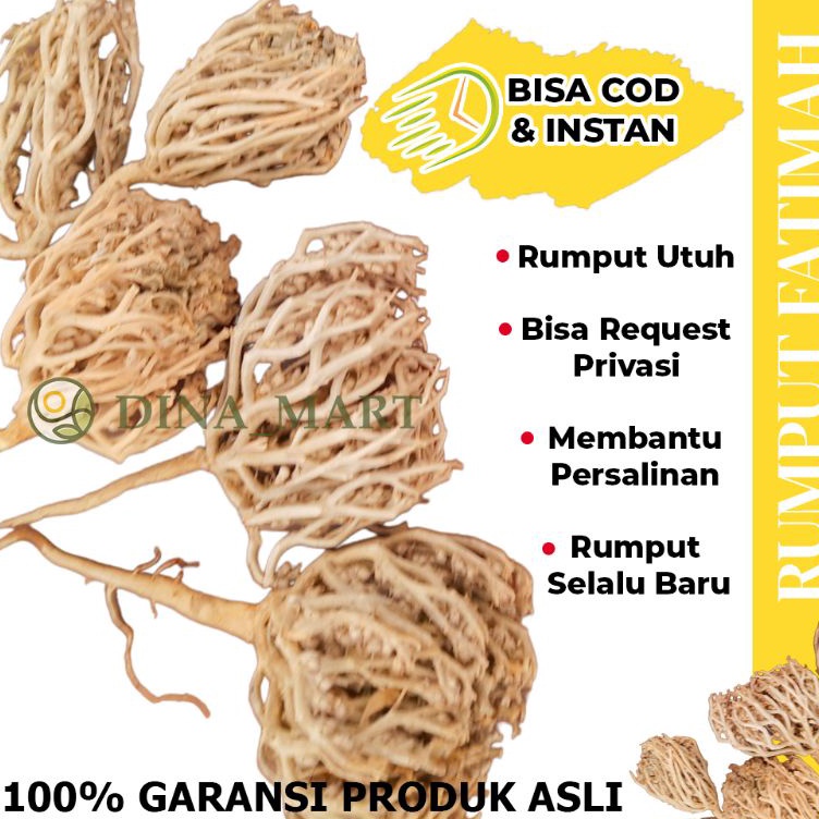 

>V44859) RUMPUT FATIMAH ASLI ARAB RUMPUT FATIMAH UNTUK PERSALINAN RUMPUT FATIMAH ORIGINAL RUMPUT FATIMAH ARAB