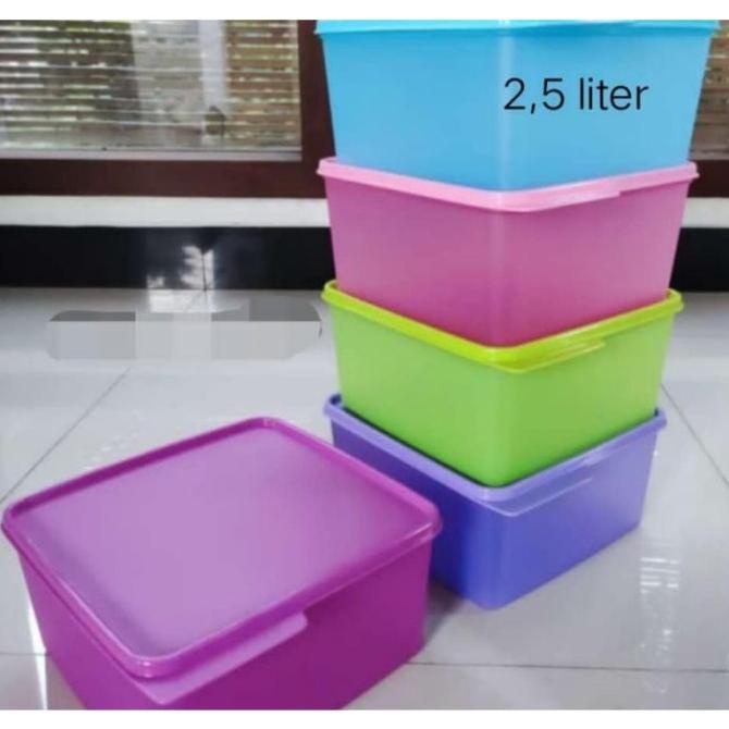 Tupperware CozyNest Large 2pcs Cozy Nest Kotak Makan