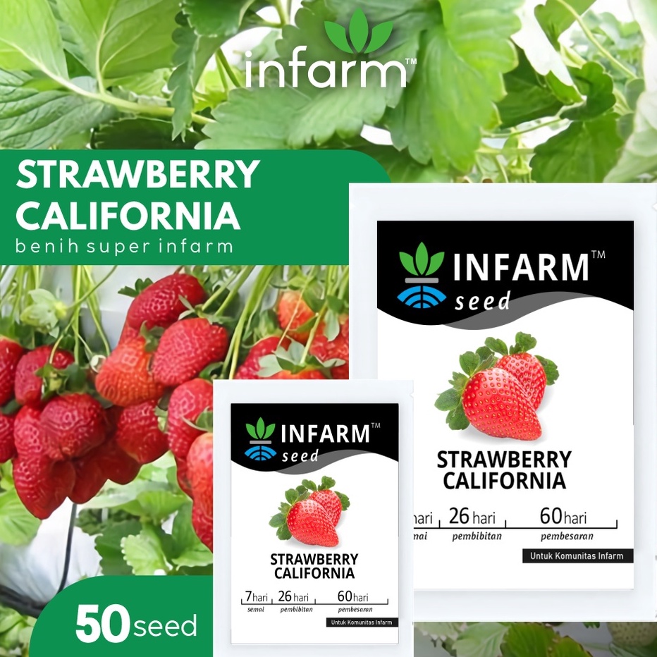 5.5 COD INFARM - Benih Bibit Biji Super Buah Strawberry California Besar Manis Berwarna Merah