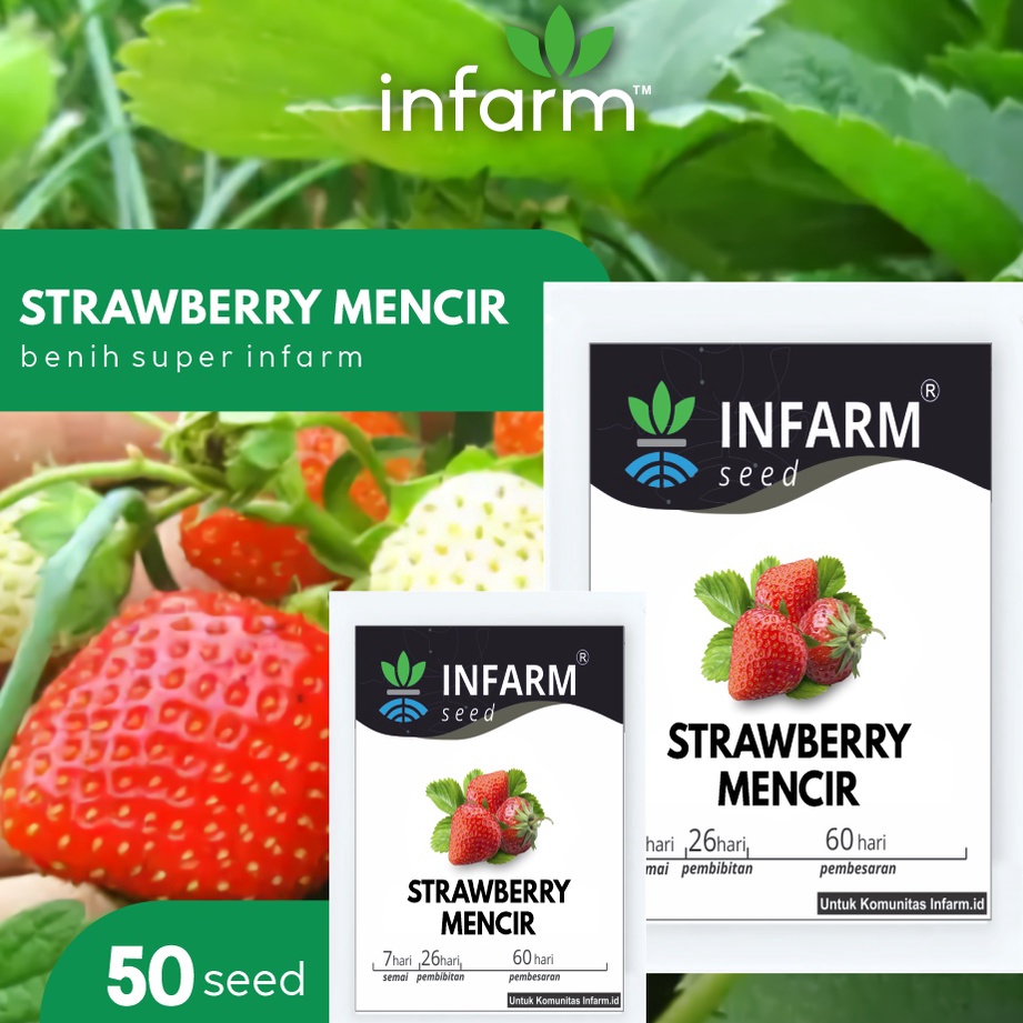 ❤[PROMO ⚡ALE]❤ INFARM - Benih Bibit Biji Super Buah Strawberry Mencir Cocok untuk Dataran Rendah