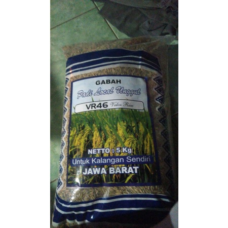 Benih padi VR 46