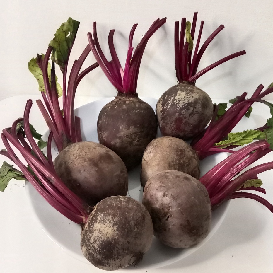 

❤[PROMO ⚡ALE!!!]❤ BUAH BIT MERAH PREMIUM | BEST QUALITY BEETS | BUAH BEETS | BEETS ROOTS | BUAH BIT 1 KG | BUAH BIT 500 GRAM | PREMIUM RED BEETS | BUAH | BUAH PREMIUM | BUAH PENAMBAH DARAH | BIT