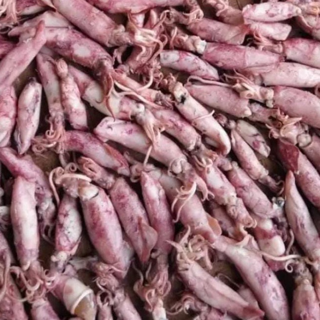 

LXRN4865㊬ Cumi Sotong Kering 1Kg Murah Ikan Asin Cumi Kering ㊮