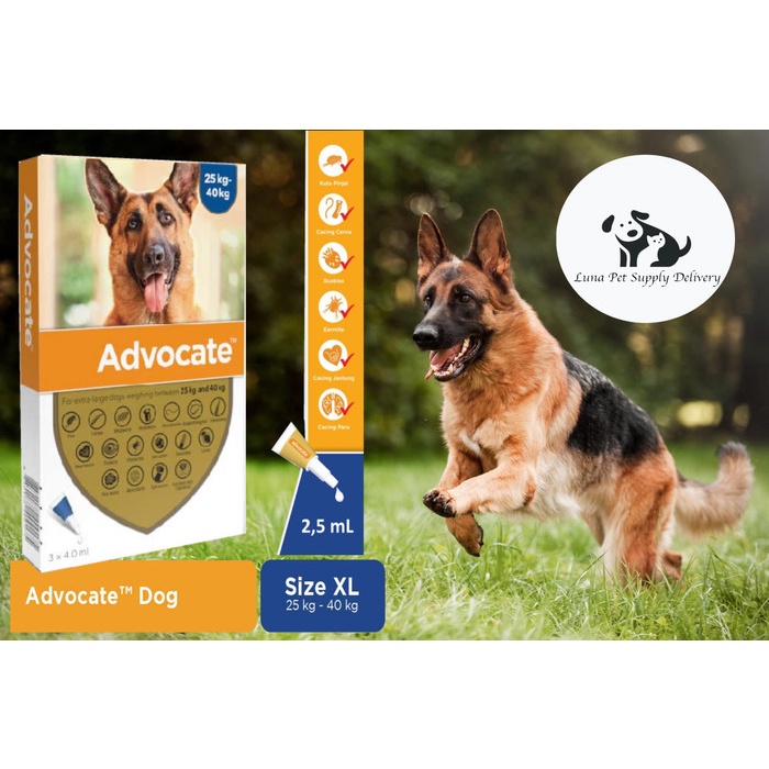 Obat Kutu + Cacing Anjing Advocate Dog 25-40 kg XL BAYER
