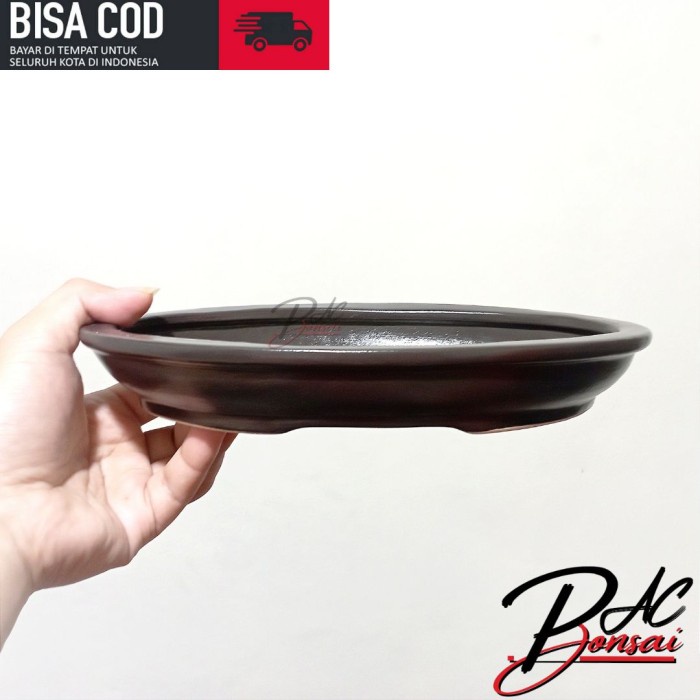 Pot Keramik Bonsai Model Ceper Ukuran Medium Berkualitas