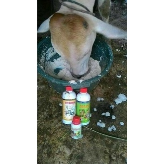 Terlaris Paket Penggemukan Sapi/Vitamin Sapi/Vitamin Domba/Agen Nasa Jakarta 1