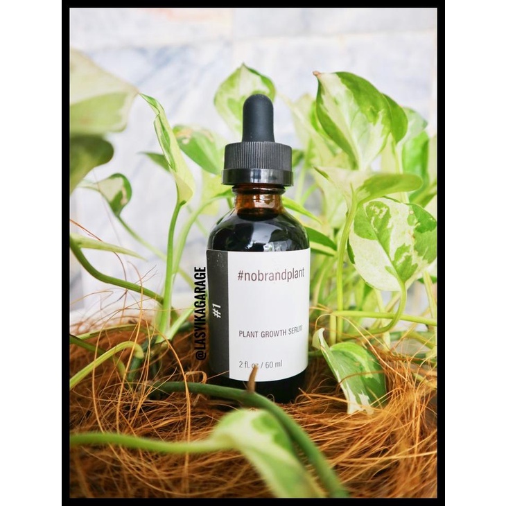 SERUM 1 #NOBRANDPLANT PLANT GROWTH SERUM, SERUM TANAMAN NO BRAND PLANT KODE 1121
