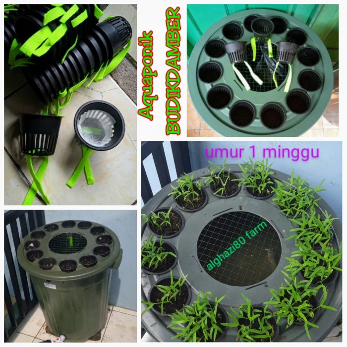Terlaris Ember Lele 80 Liter 12 Nett Pot/Budikdamber/ Budidaya Ikan & Aquaponik