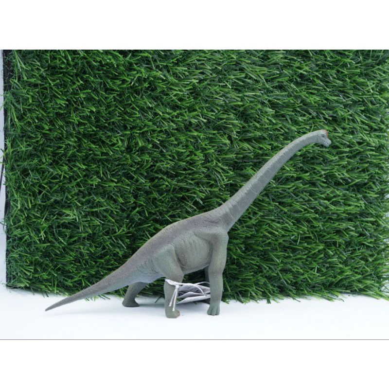 Branchiosaurus Dinosaurs Animal Figure Binatang Mainan Edukasi Anak Miniature