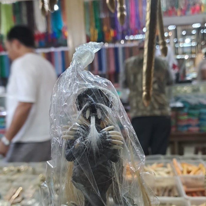 MUST HAVE BARANG ANTIK KOLEKSI BK DAGING DUDUK TERBARU