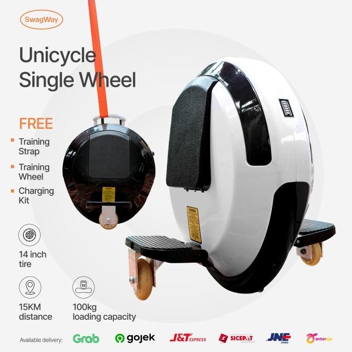 Self Balancing Single Wheel Unicyle Electric Scooter Uniwheel One Uni